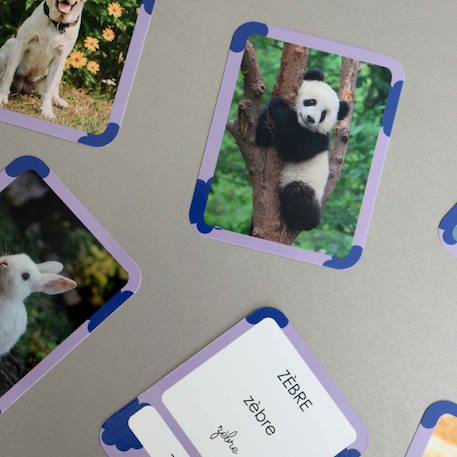 Mes 40 premiers mots: animaux MULTICOLORE 4 - vertbaudet enfant 
