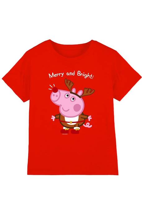 T-shirt garçon bordeaux 11-12 ans One piece TOEI à Prix