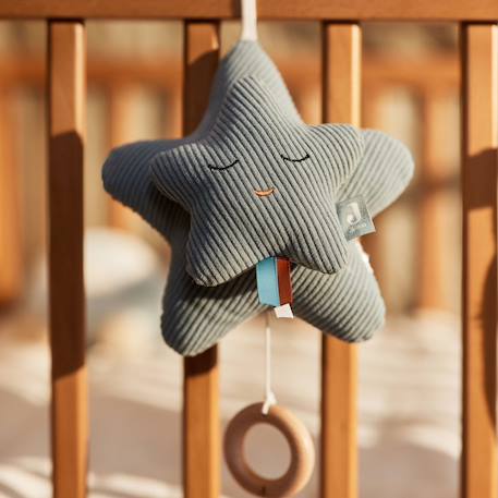 Peluche musicale star sea green Bleu 3 - vertbaudet enfant 