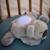 Veilleuse projecteur lapidou lapin beige Beige+Blanc+Gris, blanc 9 - vertbaudet enfant 